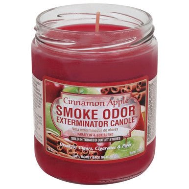 Smoke Odor 13oz Candle - Cinnamon Apple - High Moon Haven