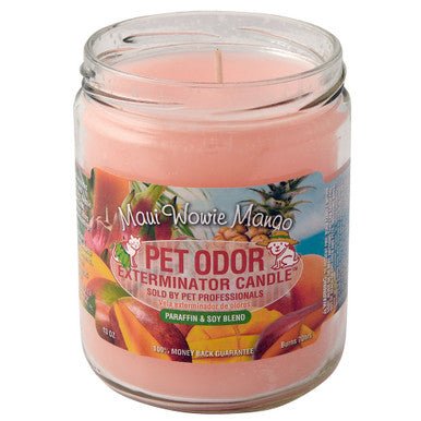 Smoke Odor 13oz Candle - Maui Wowie Mango - High Moon Haven