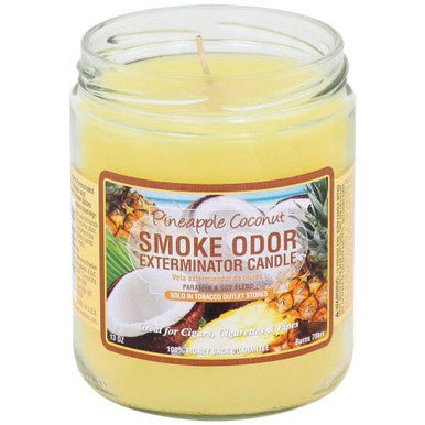 Smoke Odor - 13oz Candle - Pineapple Coconut - High Moon Haven